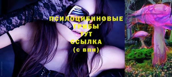не бодяженный Белокуриха